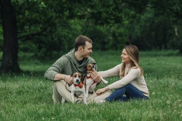 Happy man and woman enjoying with Jack Russell Terrier dogs in park - VSNF00945