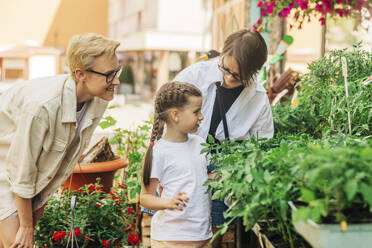 Lesbian couple buying tomato seedling with daughter at shop - VSNF01005