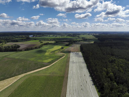 Aerial view of asparagus harvest at Oderbruch, Brandenburg, Germany. - AAEF19318