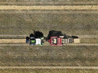 Aerial view of cereal harvesters and tractors at a farm in Oderbruch, Brandenburg, Germany. - AAEF19353