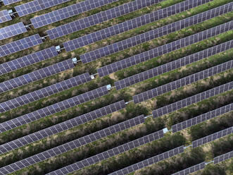 Aerial view of peatland photovoltaic panels at the ecological Solarpark Klein Rheide, Schleswig-Holstein, Germany. - AAEF19362