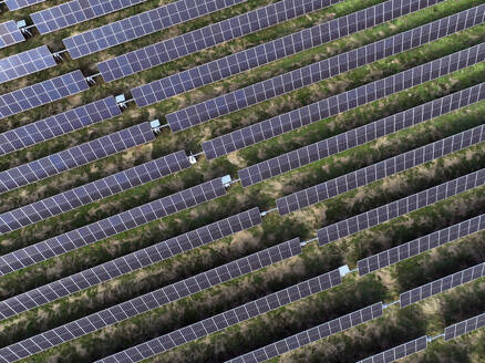 Aerial view of peatland photovoltaic panels at the ecological Solarpark Klein Rheide, Schleswig-Holstein, Germany. - AAEF19362