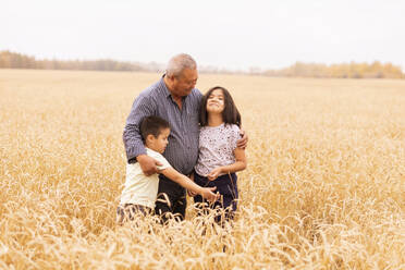 Landwirt umarmt seine Enkelkinder inmitten der Ernte auf einem Weizenfeld - ADF00106