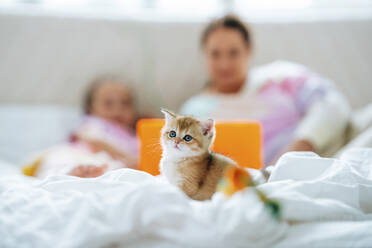 Ginger Kätzchen auf dem Bett mit Mutter und Tochter beobachten Laptop im Hintergrund - MDOF01208