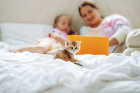 Kätzchen auf dem Bett mit Mutter und Tochter beobachten Laptop im Hintergrund - MDOF01209