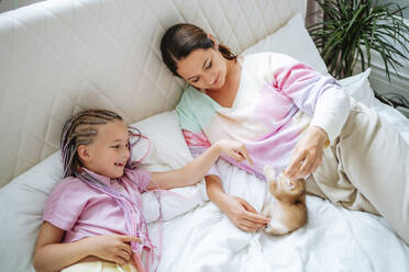 Mutter und Tochter spielen mit Ingwer Kätzchen auf dem Bett zu Hause - MDOF01210
