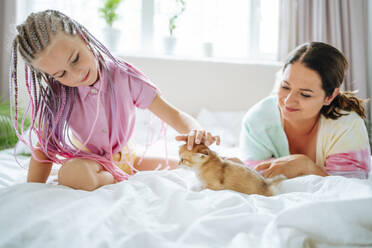 Mutter und Tochter spielen mit rotem Kätzchen auf dem Bett - MDOF01211