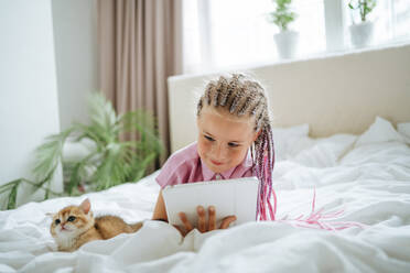 Girl holding tablet PC lying by ginger kitten on bed - MDOF01219