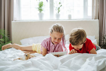 Siblings watching tablet PC lying by ginger kitten on bed - MDOF01222