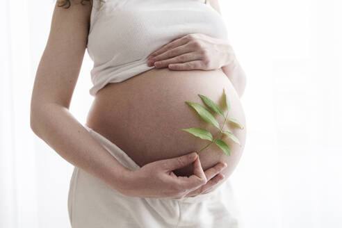 Pregnant woman holding leaves at belly - AAZF00669