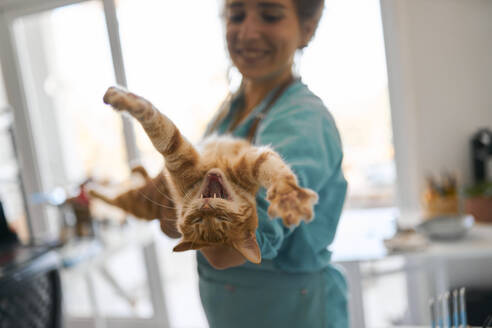 Verspielte Handwerkerin mit Katze in der Werkstatt - ANNF00276