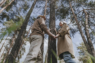 Romantic couple holding hands by tree in forest - YTF00904