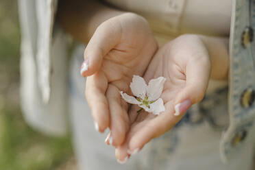 Nahaufnahme einer jungen Frau mit weißer Blume - SEAF01950