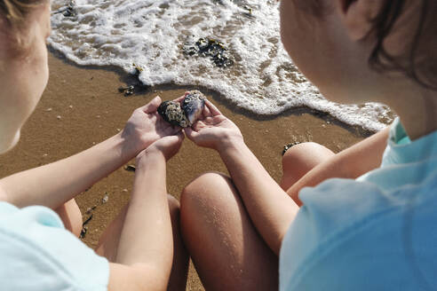 Twin sisters holding seashells near shore at beach - ASGF03698