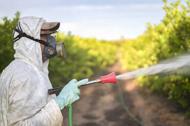 Landarbeiter im Schutzanzug beim Besprühen von Zitronenbäumen mit Pestiziden - DMHF00025