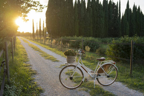 Bicycle on footpath at sunset - SVKF01454