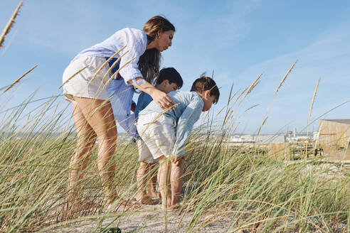 Mutter und Kinder betrachten das Gras am Strand - ASGF03763