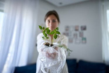 Woman holding basil sprout in plastic bag at home - ANNF00350