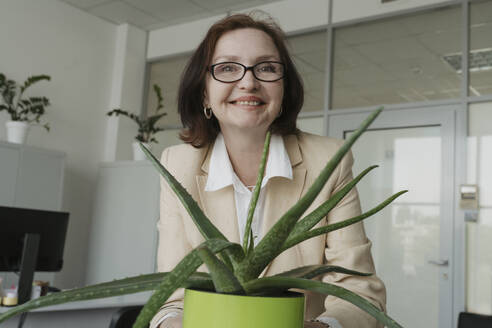 Lächelnde ältere Geschäftsfrau mit Aloe-Vera-Pflanze im Büro - OSF01709