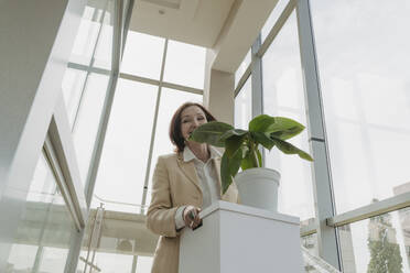 Ältere Geschäftsfrau trägt Kiste mit Topfpflanze im Büro - OSF01711