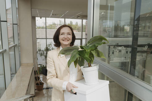 Lächelnde ältere Geschäftsfrau, die eine Schachtel mit einer Topfpflanze im Flur eines Büros trägt - OSF01712