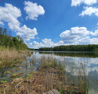 Deutschland, Land Brandenburg, Wolken über dem Ufer des Mollensees bei Sonnenschein - CMF00898