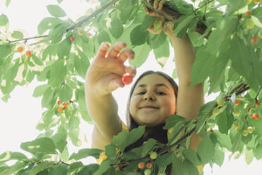 Glückliches Mädchen pflückt Kirsche vom Baum im Garten - OSF01722