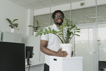 Lächelnder Geschäftsmann mit Topfpflanze und Kiste im Büro - OSF01744
