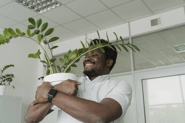 Lächelnder Geschäftsmann umarmt Topfpflanze im Büro - OSF01745
