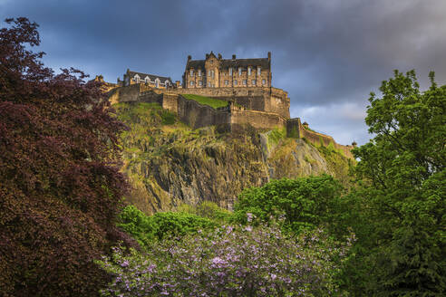 Großbritannien, Schottland, Edinburgh, Blühender Baum in den Princes Street Gardens mit Edinburgh Castle im Hintergrund - ABOF00920