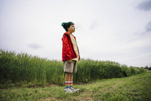 Boy wearing red jacket standing by crop on barley field - MDOF01369