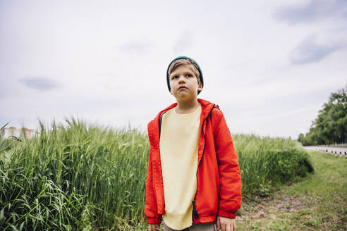 Boy wearing red jacket standing by barley crop on field - MDOF01370