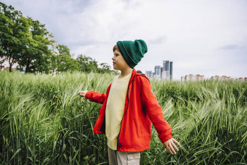 Boy wearing red jacket standing amidst barley crop with cloudy sky in background - MDOF01377