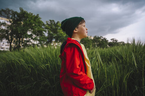 Boy in red jacket looking at cloudy sky standing on barley field - MDOF01386