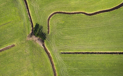 Overhead view of old polder landscape, Zegvel, Netherlands - ISF26273