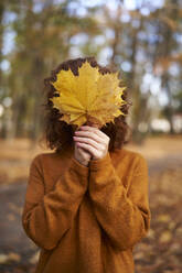 Redhead woman holding maple leaf in front of face at autumn park - ABIF02044