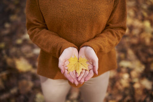 Frau hält Ahornblatt in der Hand im Herbstpark - ABIF02048