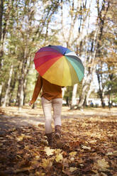 Frau spaziert im herbstlichen Park mit buntem Regenschirm - ABIF02050