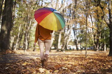 Woman with colorful umbrella walking on autumn leaves at park - ABIF02051