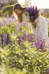 Woman picking purple lupine flowers on sunny day in field - ONAF00564