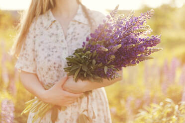 Frau mit violetten Lupinenblüten auf einem Feld an einem sonnigen Tag - ONAF00574