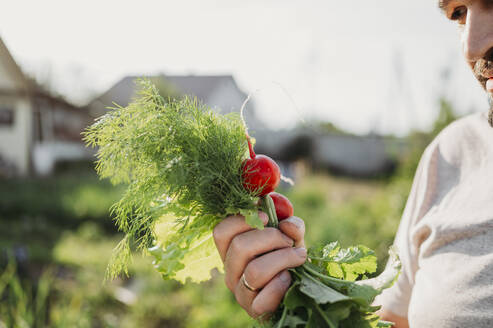 Farmer holding radish and dill in field - ANAF01563