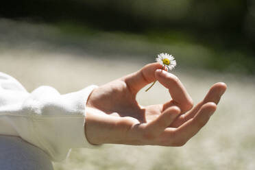 Close-up of teenage girl holding daisy and gesturing mudra - AAZF00754