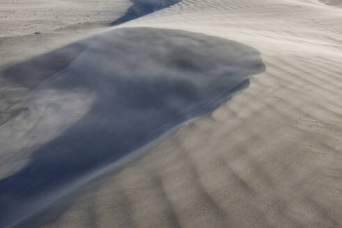 Neuseeland, Südinsel Neuseeland, Puponga, Sanddünen am Wharariki Beach - RUEF04093