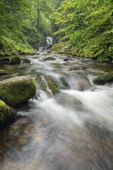 Deutschland, Baden-Württemberg, Geroldsauer Wasserfall am Grobbach - RUEF04121