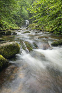 Deutschland, Baden-Württemberg, Geroldsauer Wasserfall am Grobbach - RUEF04121