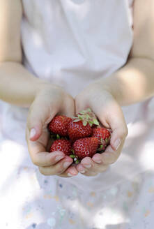 Mädchen hält frische rote Erdbeeren aus dem Garten - GISF00965