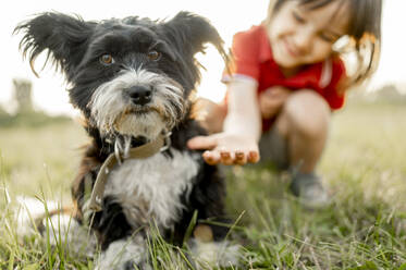 Happy boy playing with dog at field - ANAF01621