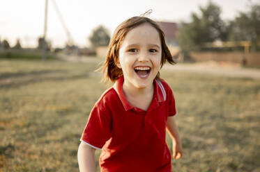 Fröhlicher Junge hat Spaß auf einem Feld an einem sonnigen Tag - ANAF01622