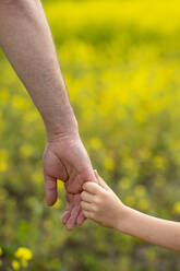 Boy holding hands with father at field - ANAF01629